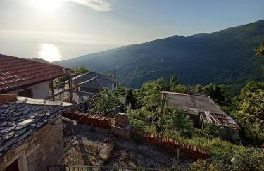 Orizontas Pilio Villa - Photo 27