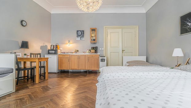 Cozy Mala Strana Apartment in Prague - Foto 4, Habitación