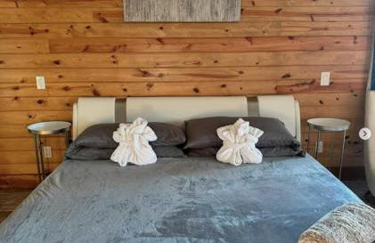 Private Retreat with Pond, Pool and Hot Tub - Photo 6