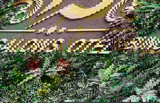 FS Bungalows Otel - Foto 51