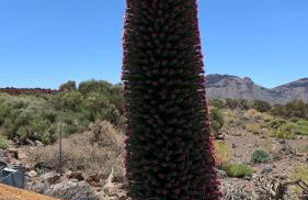 Apartamento Renovado "Hogar Las Vistas" - Foto 74