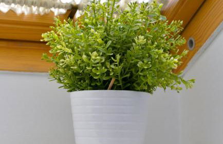 Plaza Mayor Centro - Familiar-Sin Ruido-Wifi-Ascensor - Foto 8