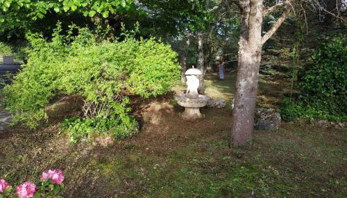 Villa Americo - Casa vacanze con parco privato - Foto 3, Garden