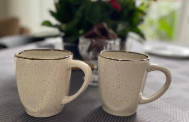 Apto térreo, 2 quartos a 5min da Vila Germânica, com ar e garagem - Foto 31