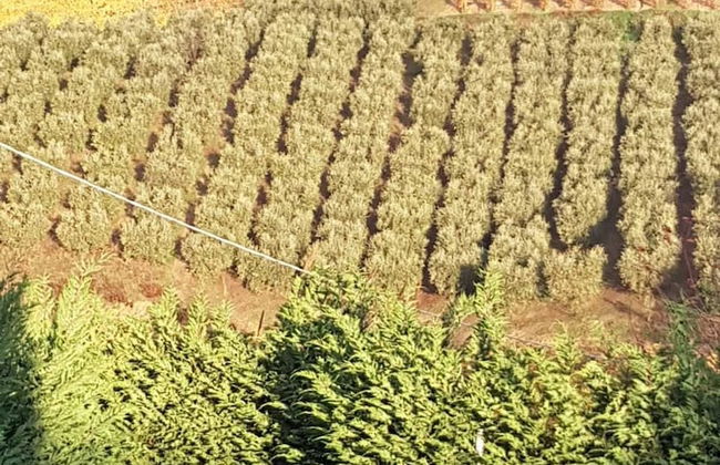 Residenza delle Grazie - Foto 48