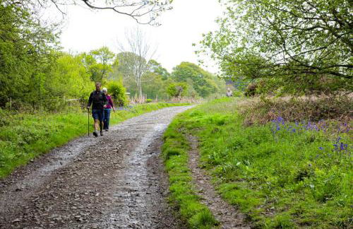 Little Hollows Glamping - Foto 62