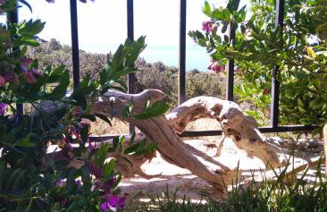 Roussa's House - Foto 46