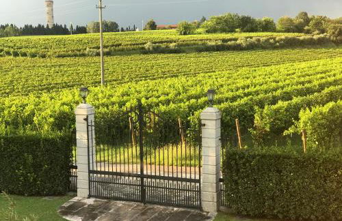 Agriturismo Feliciana - Foto 57