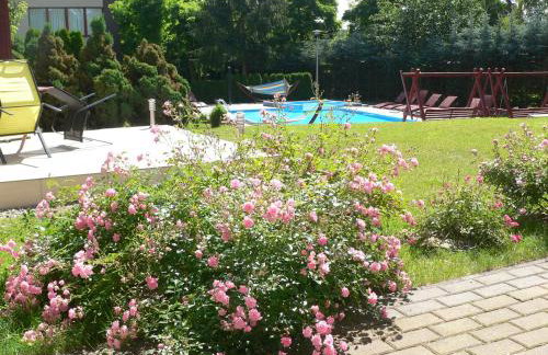 Leśna Wisełka - Foto 15