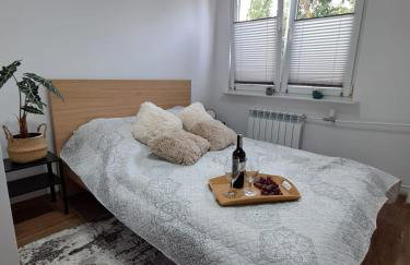 Apartament przy stawach - Foto 13