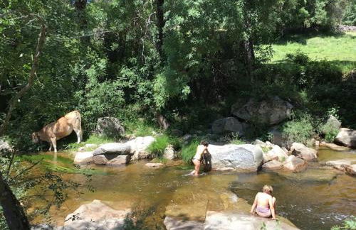 La casita Del Río. - Foto 34