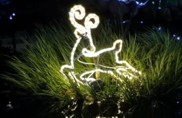 Architect House - Foto 59