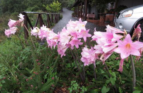 Le Case Del Merlo Turismo Rurale - Foto 63