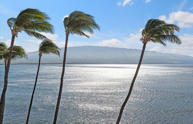 Lauloa 407 2 Bedroom Condo - Foto 34