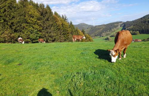 Prinzbachhof - Foto 10