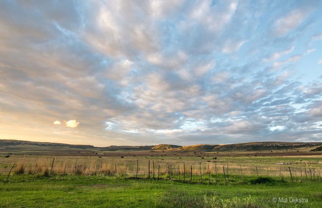 Springwater Cottages - Photo 59