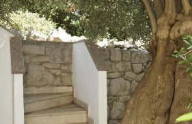 Apartmani Badurina - Maslina - Photo 17