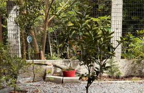 Quinta dos Samaniego - Chalés Rústicos e Suítes - Foto 71