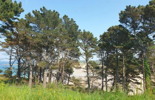 La Pointe aux Chèvres - 10min à Pied de la Plage - Foto 15