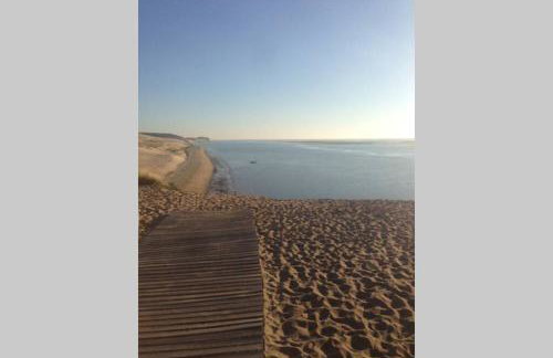 La cabane de Carol au coeur du bassin d'Arcachon - Foto 26