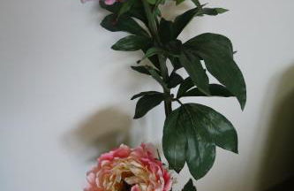 Ferienwohnung Lohrenz - Foto 36