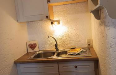 Berg-Panorama-Ferienwohnungen Gut-Lichtenau - Foto 23