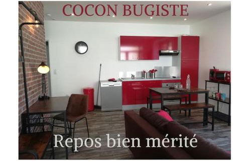 Cocoon Bugiste : travail, sport ou détente - Foto 1