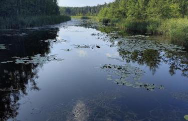 Modrzewiowy Zakątek z balią - Foto 40