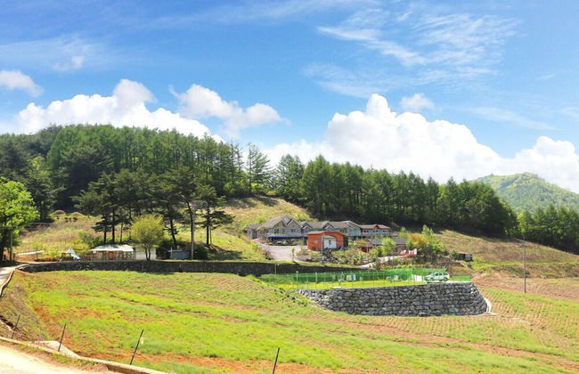 Star Jari Pension - Photo 36