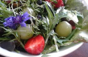 klassMo Kulturcafe&Gästehaus mit Kulturwerkstatt - Foto 25