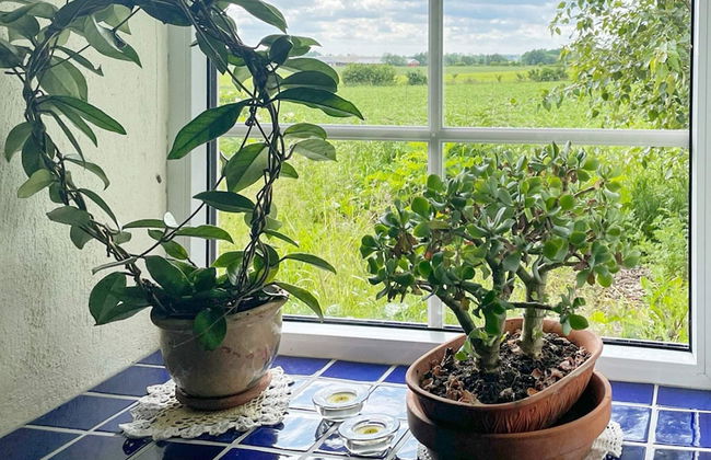 5 Person Holiday Home in Sjobo - Foto 13