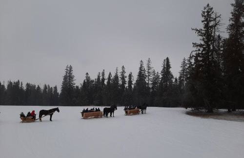 Domki Malcykówka z własnym Jacuzzi - w cenie - Foto 48