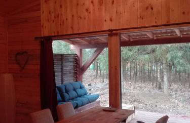 Maly Domek Zalesie - Foto 13