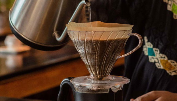 Découvrez le monde fascinant du café au Chiapas