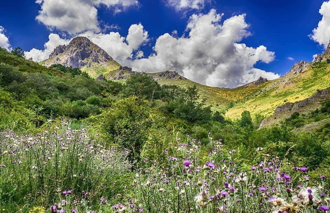 Estrellas de Gredos - Foto 38