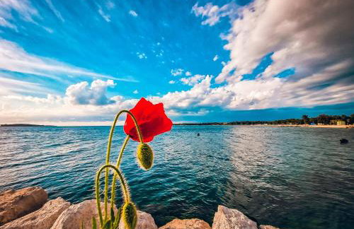 Apartment Nina - Foto 55