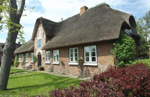 Inseltraum - Strandläufer - Foto 1