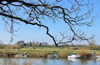 The Hut by the River - Foto 16