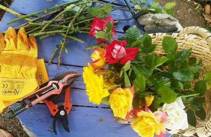 Casa el Porte - Foto 53