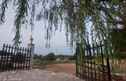 La Terrazza su Pispisa - Foto 35