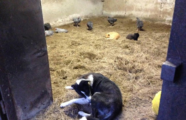 The Mill House at Cwmiar Farm - Relaxing Holidays - Photo 17