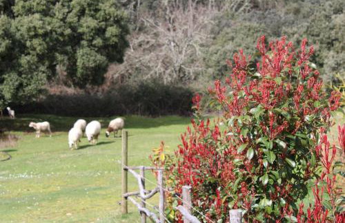 Quinta Da Devesa B1 - Foto 32