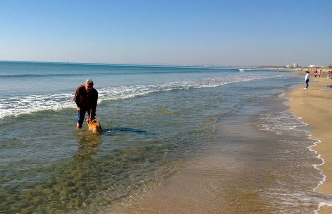 Villa Clauzet Provence - Foto 19