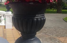 Haz de mi Rincón en Mugardos tu experiencia. - Photo 44