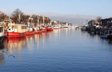 FeWo & Dz "Am Wald" - Foto 39