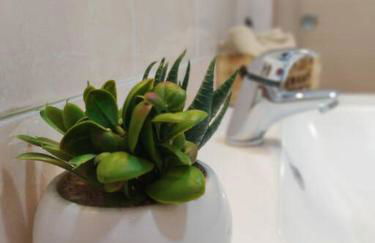 ross house - Foto 15