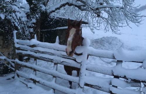 Gîte du banc de scie - Foto 59