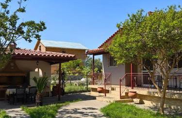 Emis House Krioneri - Photo 50