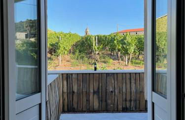 Cepas Da Cuenga - Foto 4