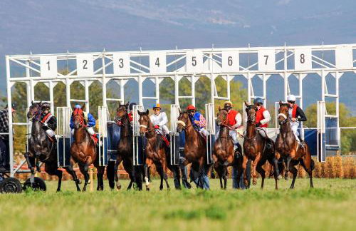 Apartment Ispod ure - Foto 38